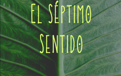 El Séptimo Sentido