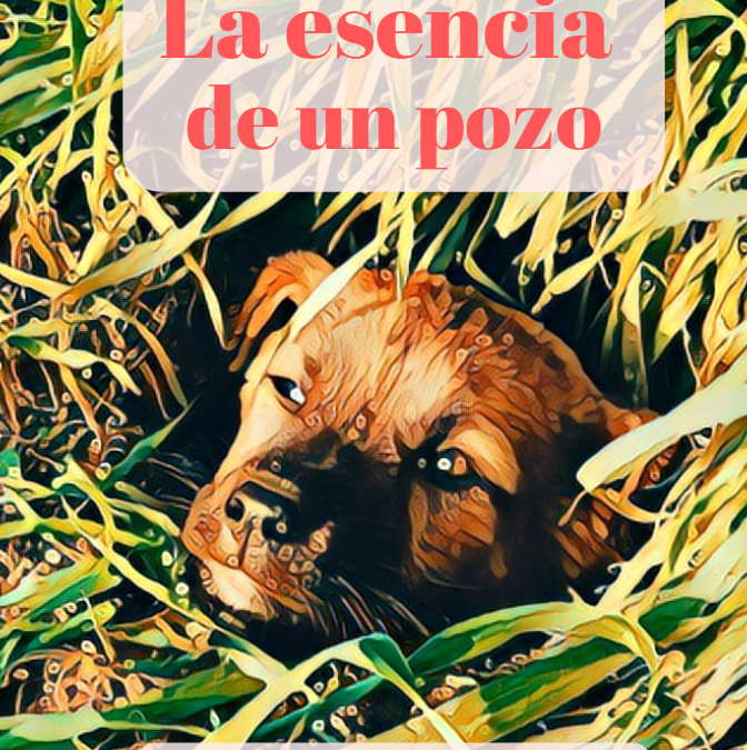 La esencia de un pozo