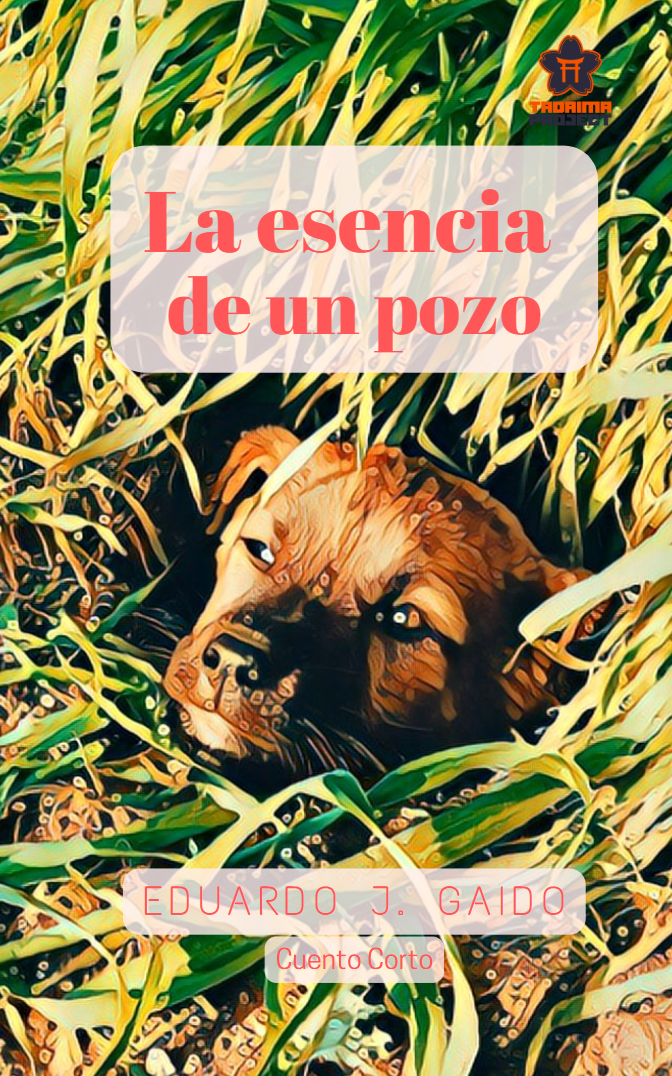la_esencia_pozo La esencia de un pozo
