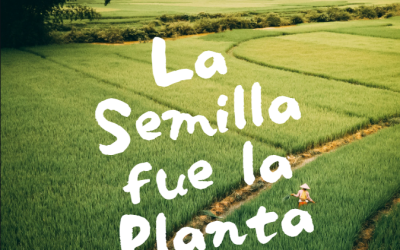 La Semilla fue la planta
