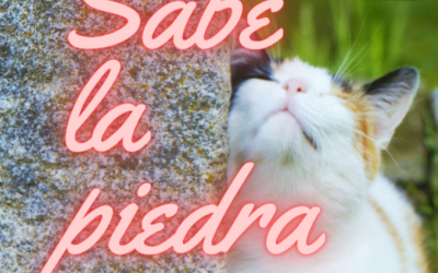 Sabe la piedra